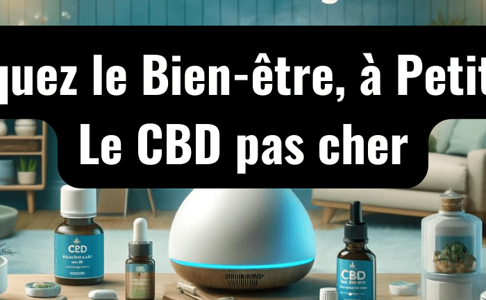 Découvrez le bien-être à petit prix avec nos produits CBD pas cher - HerBeevor
