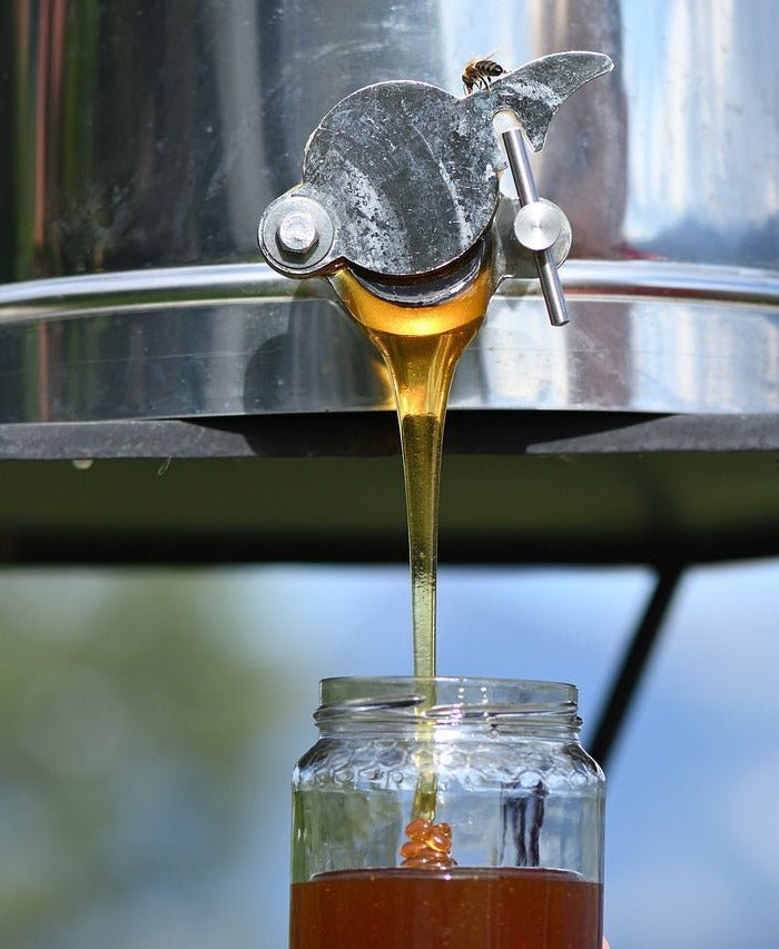 Dévoiler les secrets : Méthodes étape par étape pour éliminer le THC du CBD - HerBeevor