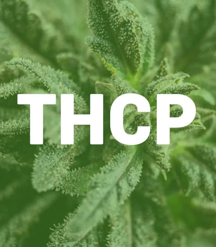 À la Découverte du THCP : Nouveau Cannabinoïde Émergent - HerBeevor