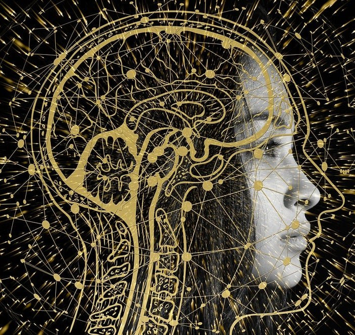 Comment le CBD agit sur les récepteurs cérébraux ? - HerBeevor