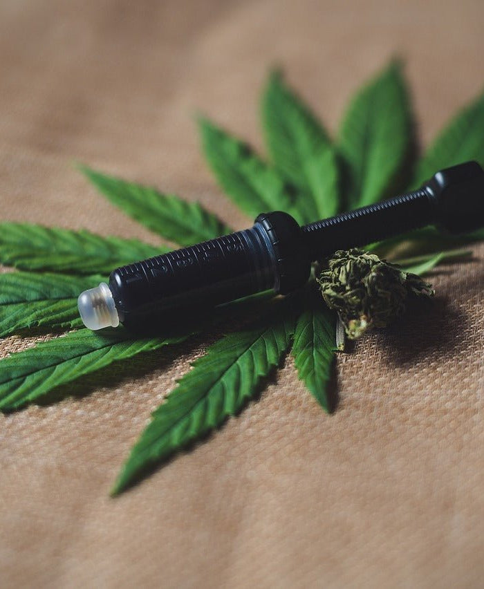 Qu'est-ce que le CBD et comment ça marche ? - HerBeevor