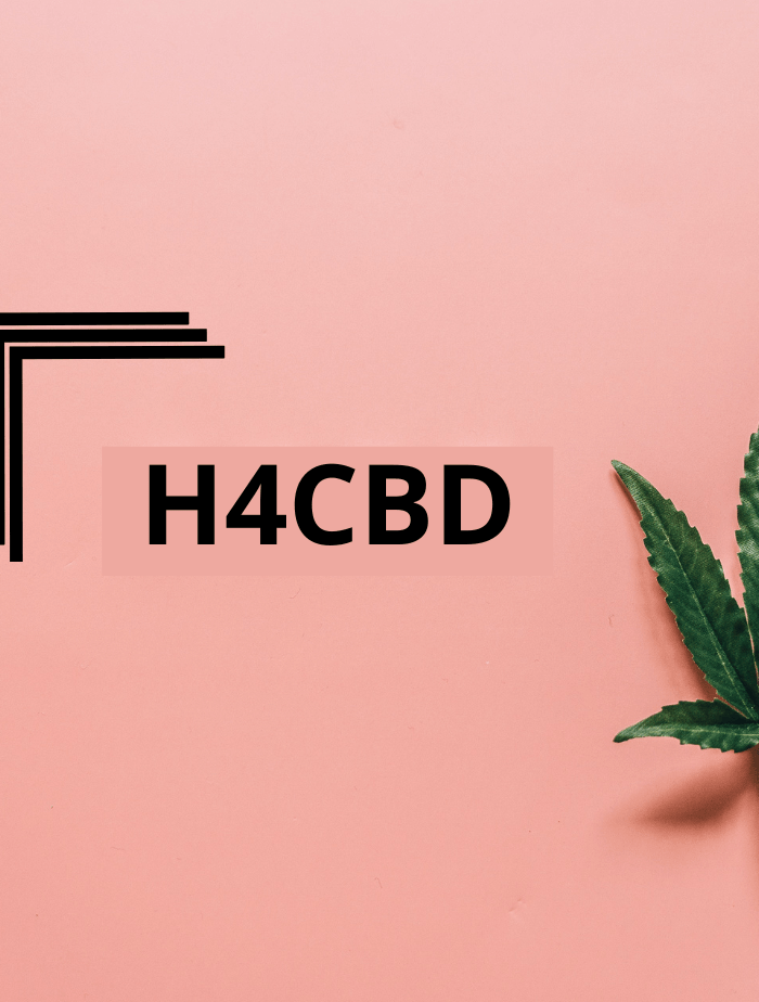 Exploration de la Molécule H4CBD : Un Nouveau Cannabinoïde aux Propriétés Thérapeutiques Révolutionnaires - HerBeevor