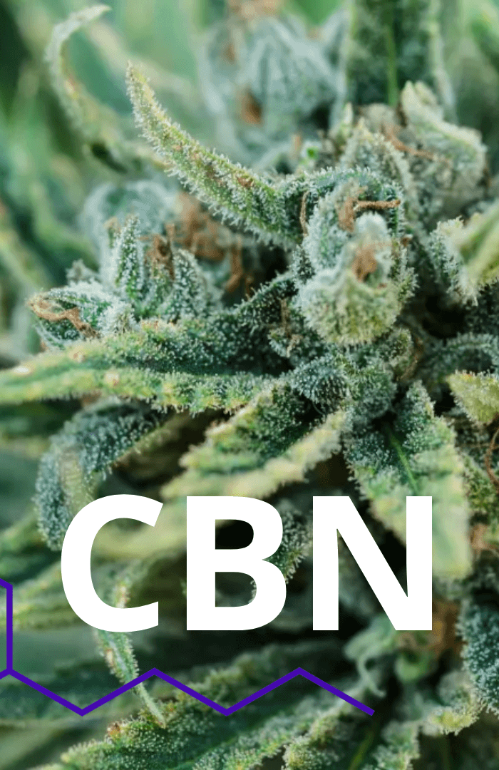 Explorez les Propriétés et Utilisations du CBN : Un Guide Complet - HerBeevor