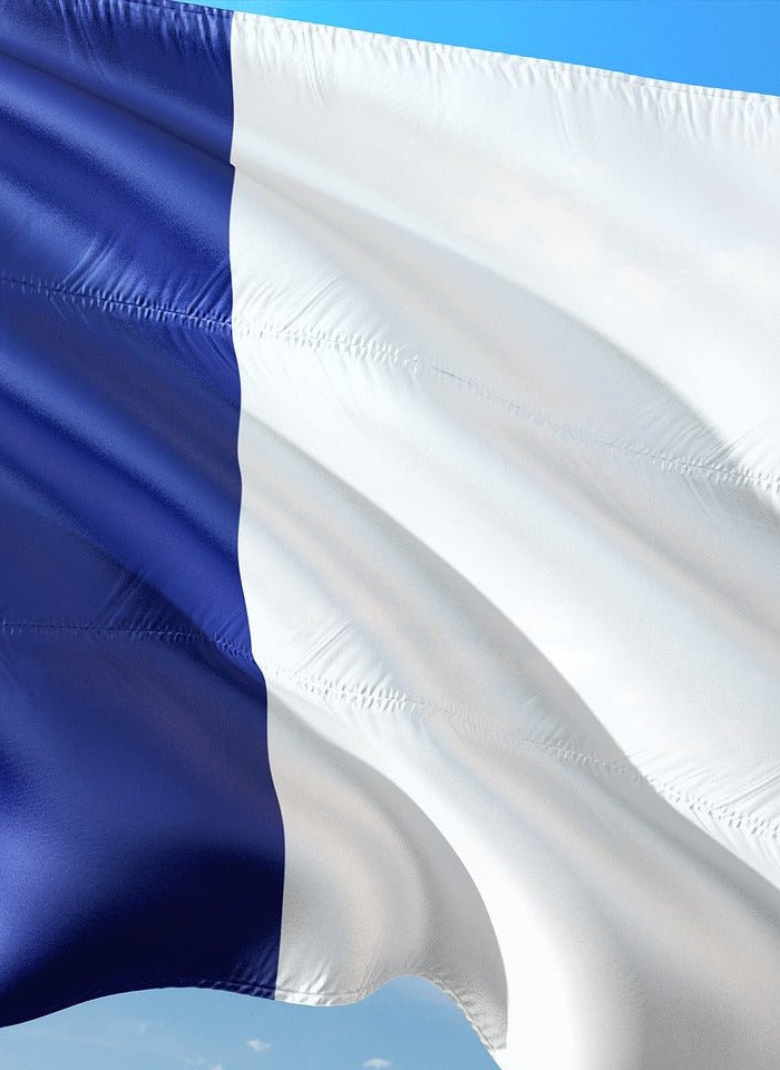 De la légalité à l'illégalité : L'histoire intrigante de l'interdiction du cannabis en France - HerBeevor