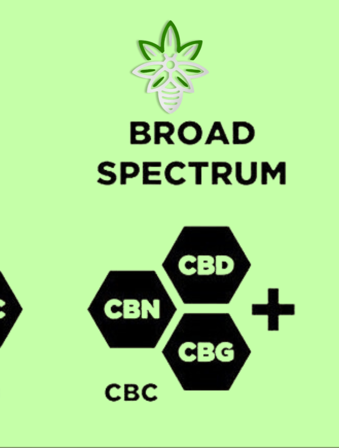 Explorez les Types de CBD : Spectre Complet, Large Spectre et Isolat - HerBeevor