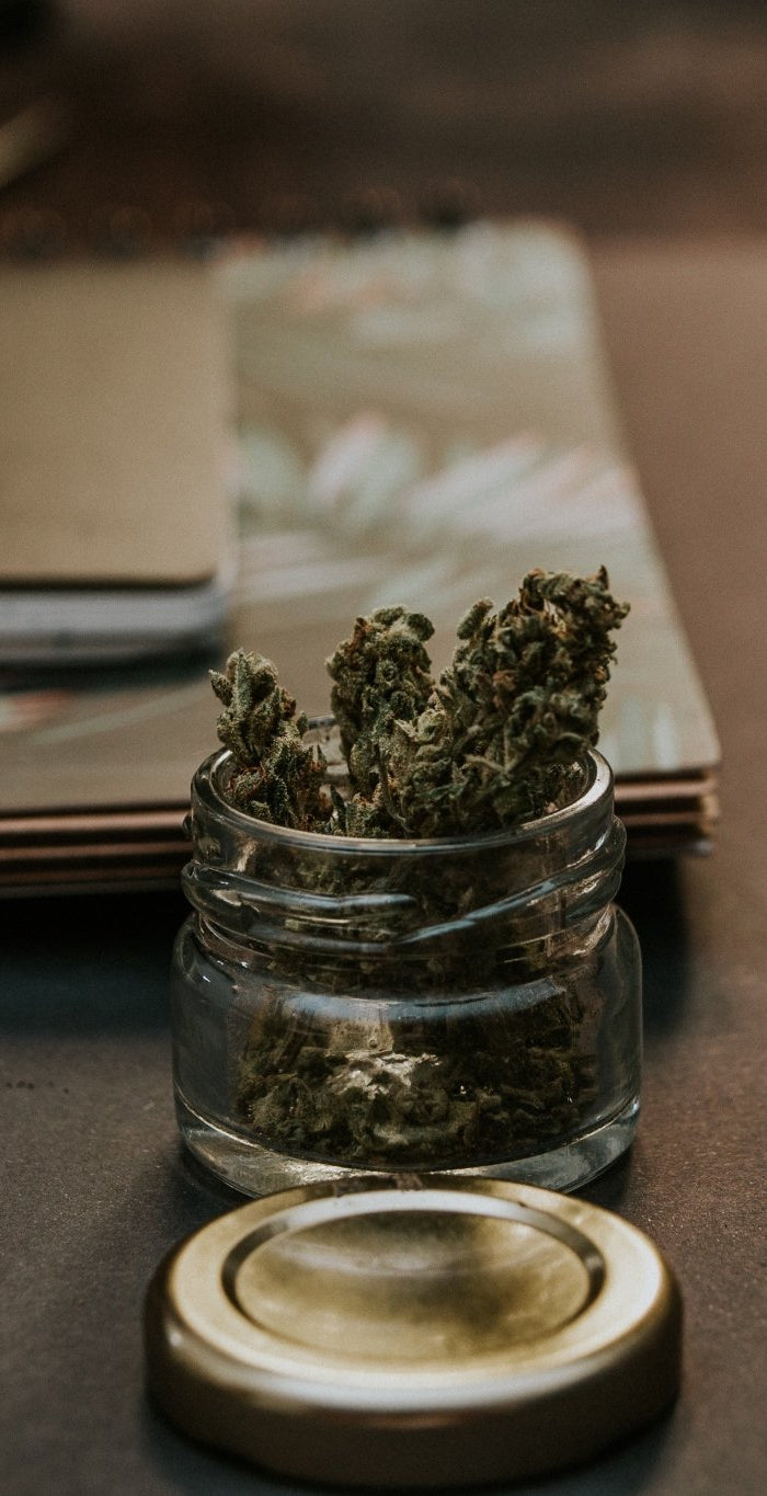 Les Bénéfices du CBD Soutenus par la Recherche Scientifique - HerBeevor