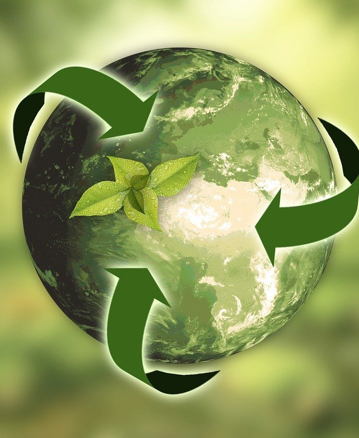 Passer au vert : Solutions pour atténuer la pollution par le cannabis et le CBD - HerBeevor