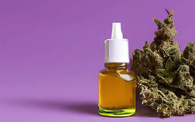 Huiles chat CBD - HerBeevor