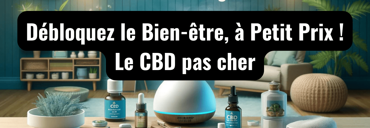 Découvrez le bien-être à petit prix avec nos produits CBD pas cher - HerBeevor