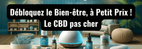 Découvrez le bien-être à petit prix avec nos produits CBD pas cher - HerBeevor