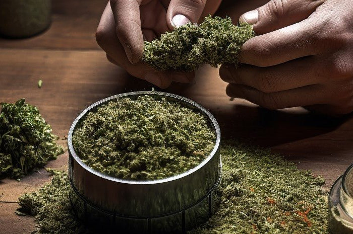 Grinder son cbd comme un pro - HerBeevor