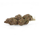 Fleurs Purple CBD - Greenhouse