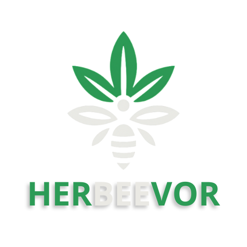 Herbeevor - Votre boutique en ligne de CBD Pantin Herbeevor - Votre boutique en ligne de CBD Pantin