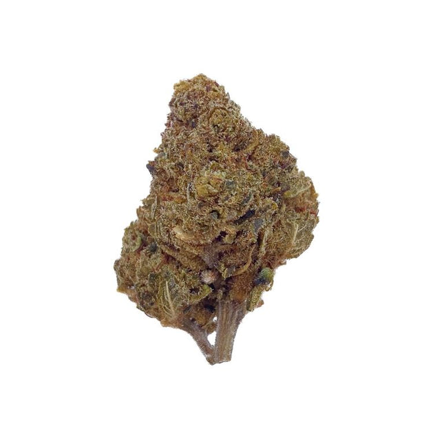 Fleur CBN Harlequin 30%