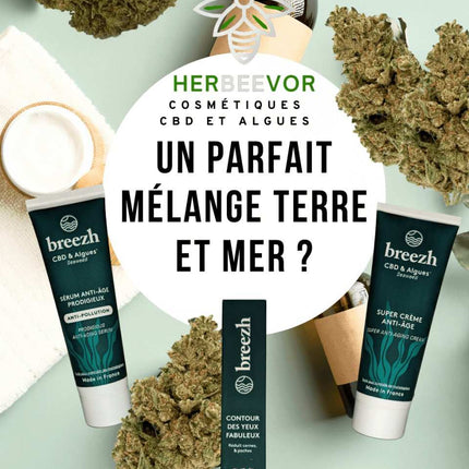 Kit anti-âge Breezh par Herbeevor : cosmétiques naturels combinant CBD et algues marines. Sérum anti-âge prodigieux, crème super anti-âge et contour des yeux fabuleux pour une peau revitalisée et éclatante. Made in France.
