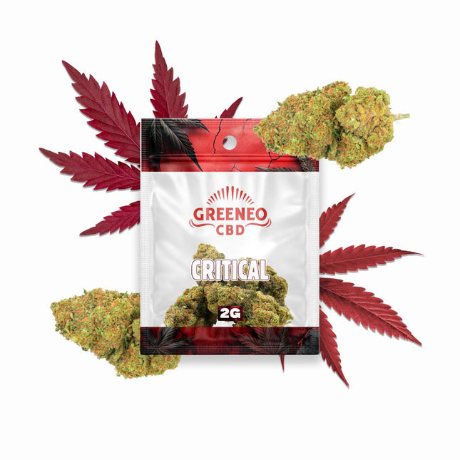 Critical 13 % – Fleur CBD – Greeneo — 2 g