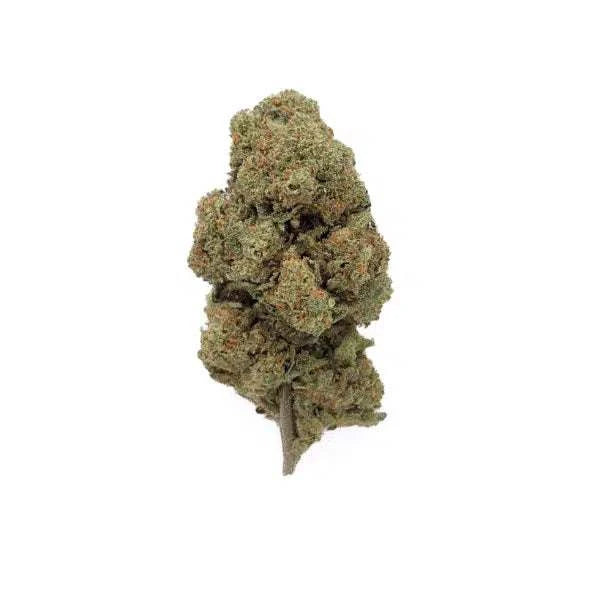 Fleur de CBD Acapulco Gold Indoor, réputée pour son arôme intense et sa haute qualité. Une variété premium idéale pour une détente optimale.