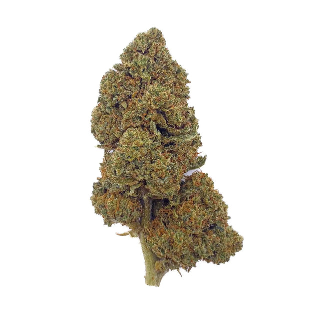 Fleur CBD Fruit Cake Glasshouse – variété premium cultivée sous serre, aux arômes fruités et sucrés, disponible chez Herbeevor.