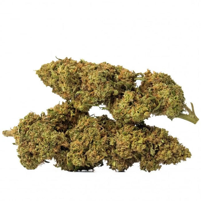 Fleur de CBD Zkittlez Glasshouse – variété premium cultivée sous serre, aux arômes fruités et sucrés, avec une belle densité de bourgeons, disponible chez Herbeevor