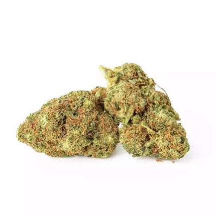 Fleurs CBN Orange Sherbet, cultivées en greenhouse. Une variété premium offrant une concentration élevée en cannabinol, idéale pour une relaxation intense.