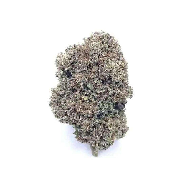 Fleurs Critical + 2.0 CBD - Indoor - HerBeevor