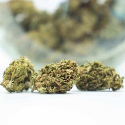 Fleurs Gelato - THCV - HerBeevor