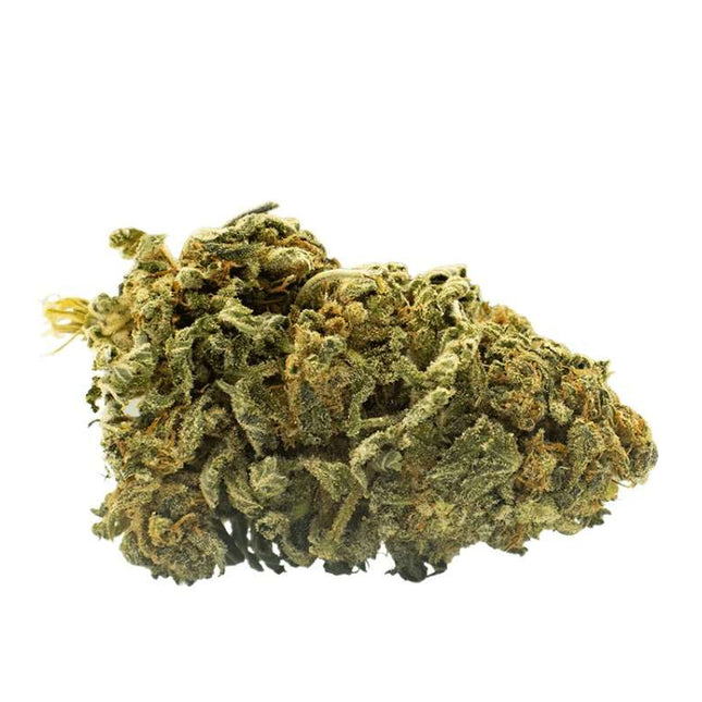 Fleurs Moby Dick CBD - Green house - HerBeevor