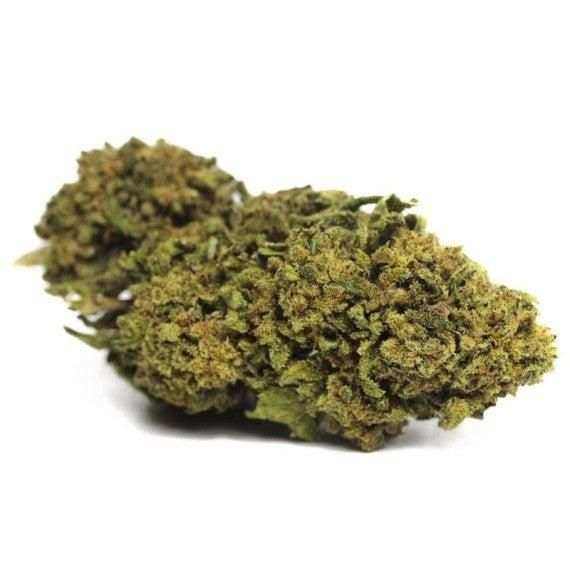 Fleurs ObiWan CBD - Indoor - HerBeevor