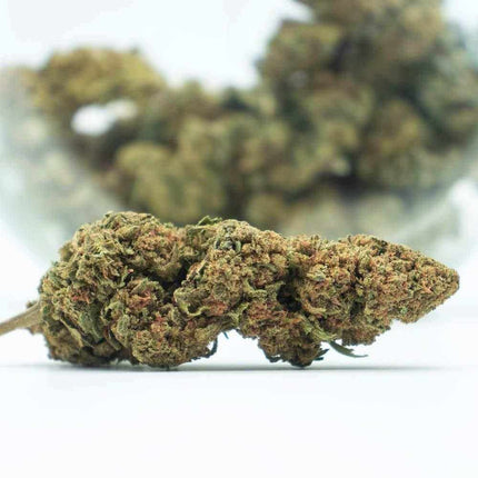 Fleurs Strawberry CBD - Greenhouse - HerBeevor