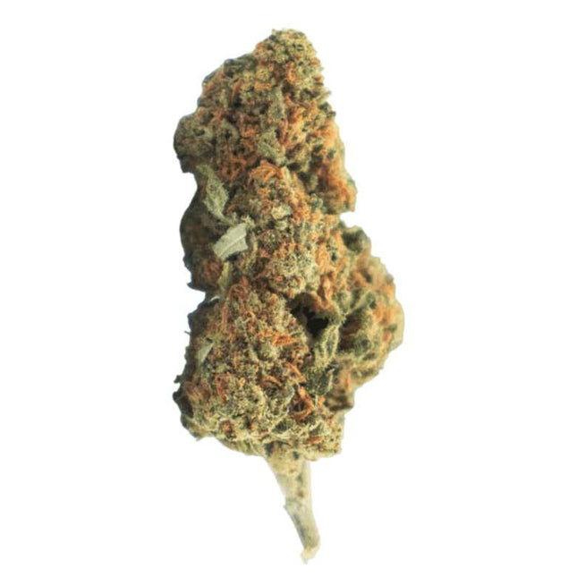 Fleurs Strawberry CBD - Greenhouse - HerBeevor