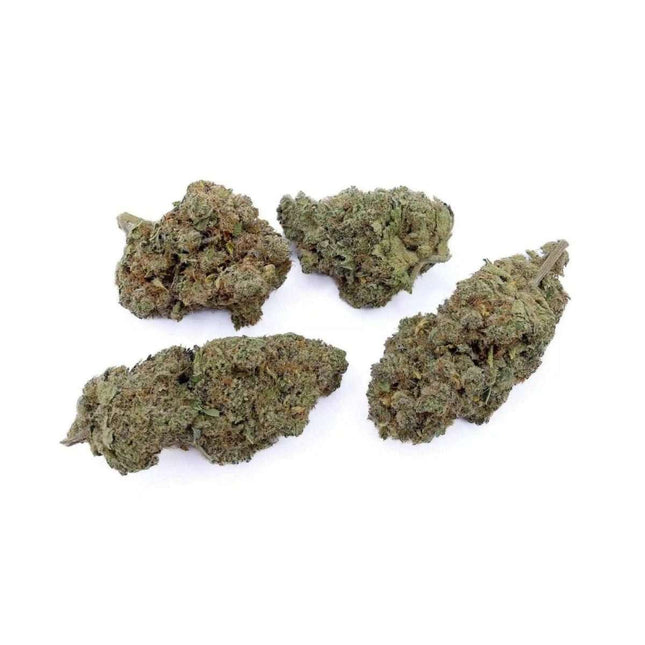 Fleurs Sunset Sherbet CBD - Indoor - HerBeevor