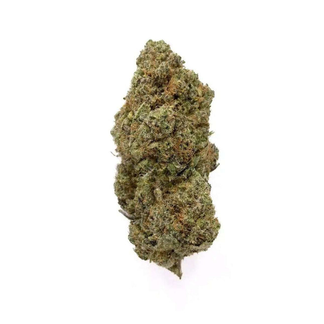 Fleurs Sunset Sherbet CBD - Indoor - HerBeevor