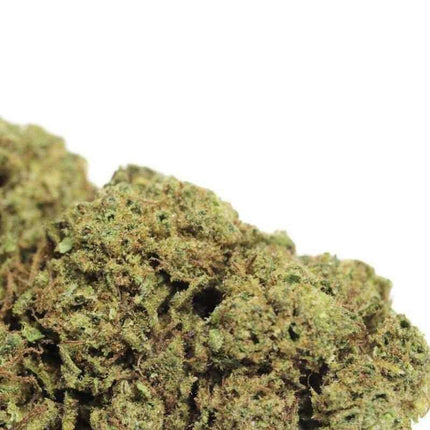 Fleurs Watermelon CBD - Indoor - HerBeevor