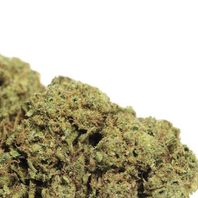 Fleurs Watermelon CBD - Indoor - HerBeevor