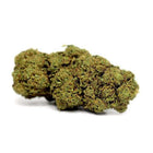 Fleurs Watermelon CBD - Indoor - HerBeevor