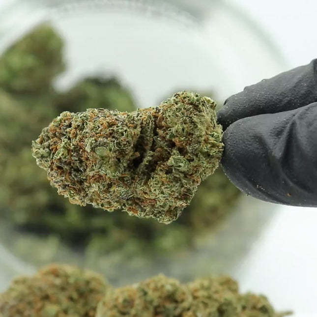 Fleurs Strawberry CBD - Greenhouse